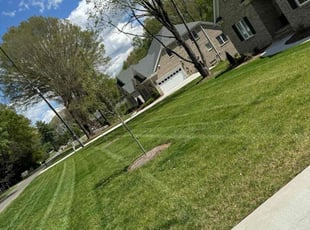 Brenda S.'s lawn care services service result