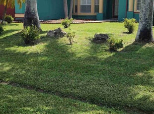Brittany N.'s lawn care services service result