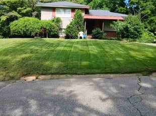 Helen R.'s Long Grass Cleanup service result