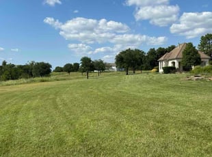Chrissy S.'s turf maintenance service result