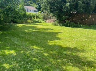 Gary A.'s lawn service service result