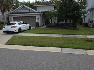 Passion P.'s turf care service result