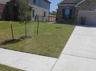 Lynn D.'s turf maintenance service result