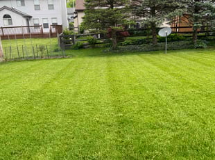 Todd G.'s lawn maintenance service result