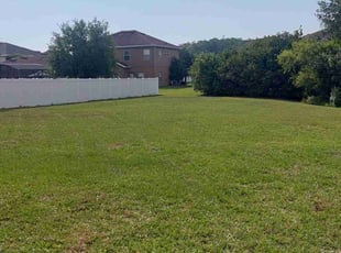 Eddy C.'s lawn care services service result