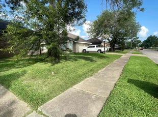 Mark B.'s Long Grass Cleanup service result