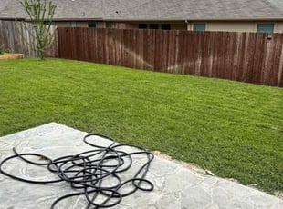 Kaylee C.'s turf care service result