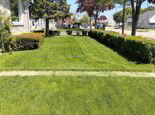 Clifford H.'s lawn care services service result