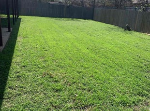 Ashley G.'s lawn maintenance service result