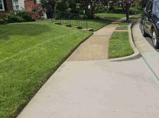 John T.'s grass maintenance service result