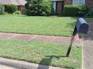 Jim G.'s grass cutting service result