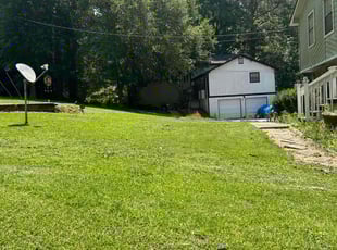 Janice S.'s Long Grass Cleanup service result