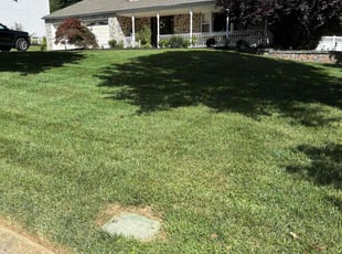 Steve I.'s lawn care services service result