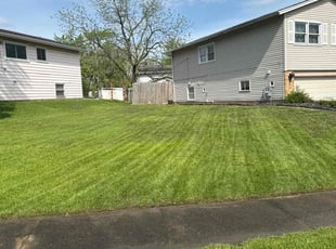 Ivan K.'s grass maintenance service result