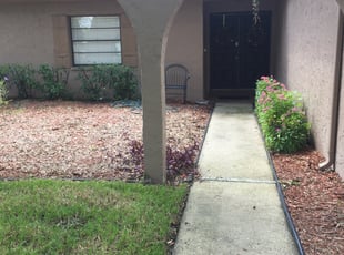 Dorothy D.'s Bush Trimming service result