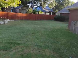 Judith C.'s lawn maintenance service result