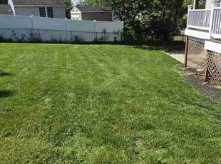 Charles E.'s lawn care service result
