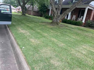 Joe F.'s grass cutting service result