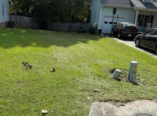 Renee S.'s grass maintenance service result