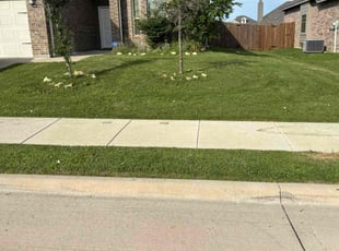 Kelly P.'s lawn service service result