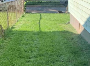 Michelle D.'s lawn maintenance service result