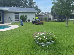 Rana M.'s grass maintenance service result