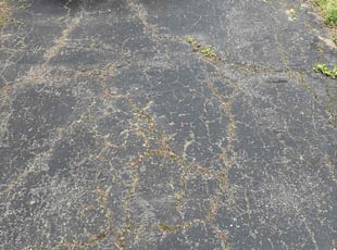 Keith W.'s Long Grass Cleanup service result