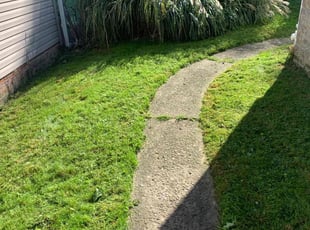 Kylie S.'s lawn service service result