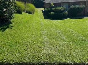 Jack C.'s grass maintenance service result