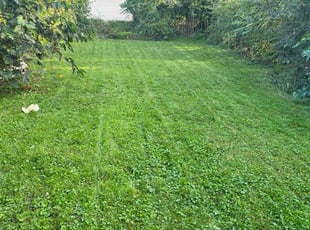 Destiny O.'s lawn service service result