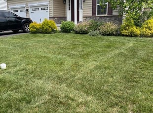 Letty M.'s lawn care service result