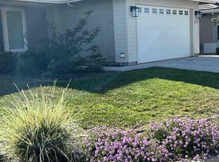 Jennifer H.'s grass maintenance service result