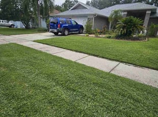 Doug W.'s turf maintenance service result