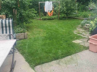 Titus R.'s grass maintenance service result