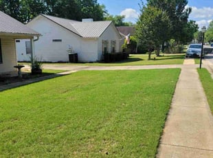 Catherine W.'s grass cutting service result