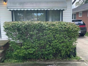 Juliet G.'s Bush Trimming service result