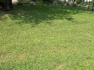 John L.'s lawn care services service result