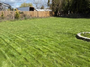 Michelle L.'s lawn maintenance service result