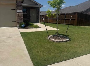 Mary S.'s lawn care service result