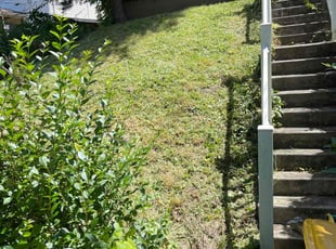 Jonathan W.'s Cleanups service result
