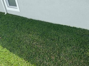 Tammy T.'s grass maintenance service result