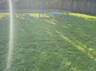 Elaine O.'s turf care service result