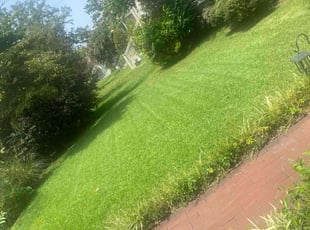 Matthew B.'s lawn maintenance service result