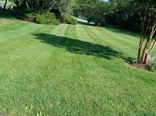Hannah C.'s yard care service result