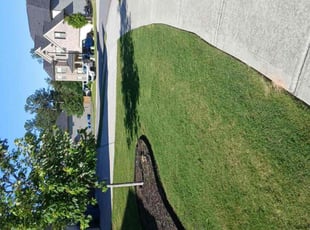 Ebony G.'s lawn maintenance service result