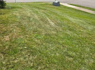 Miguel A.'s lawn care services service result