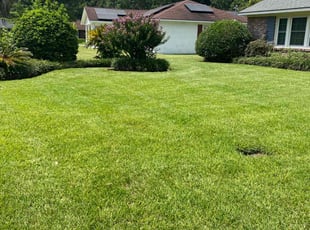 Rodney S.'s lawn care services service result