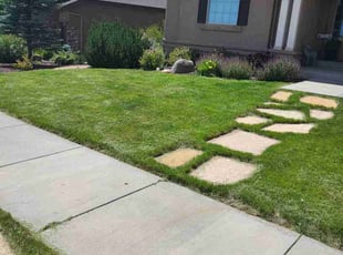 Mary P.'s lawn maintenance service result