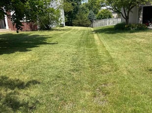 James W.'s grass maintenance service result