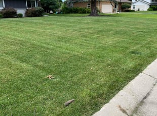 Scott K.'s lawn care services service result